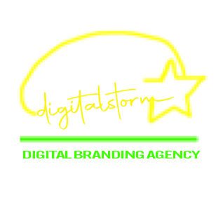 Digital Storm Logo